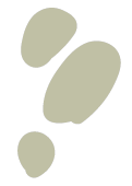 objcuisine