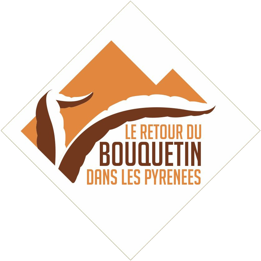 logo bouquetin