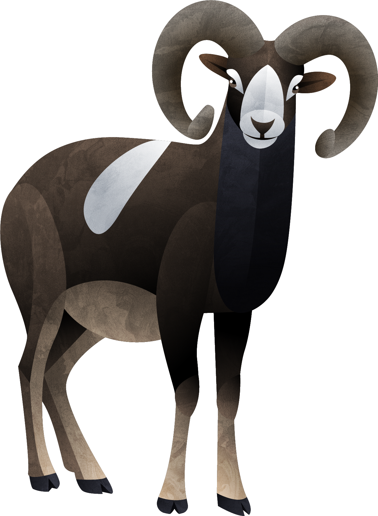 mouflon