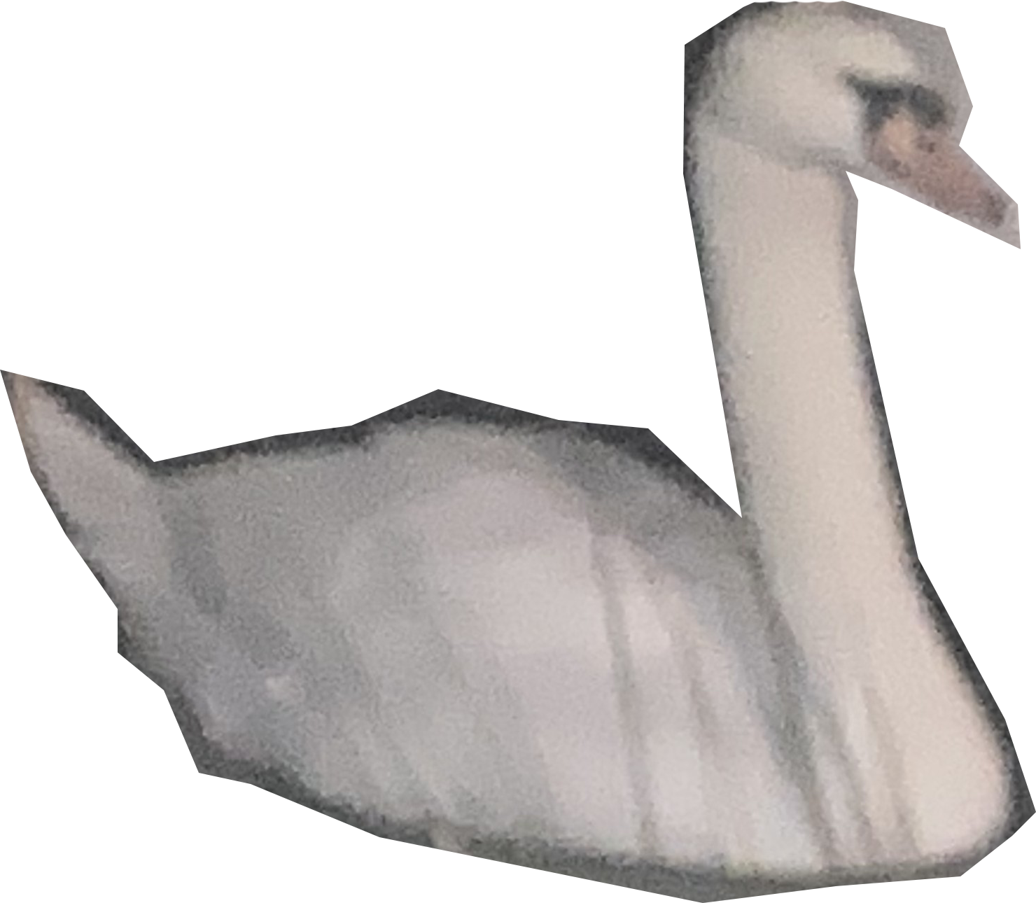 cygne1