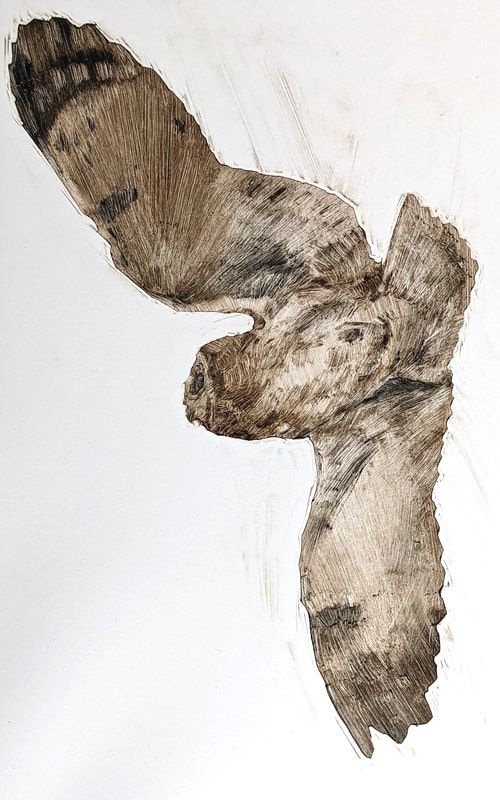 emerson mayer