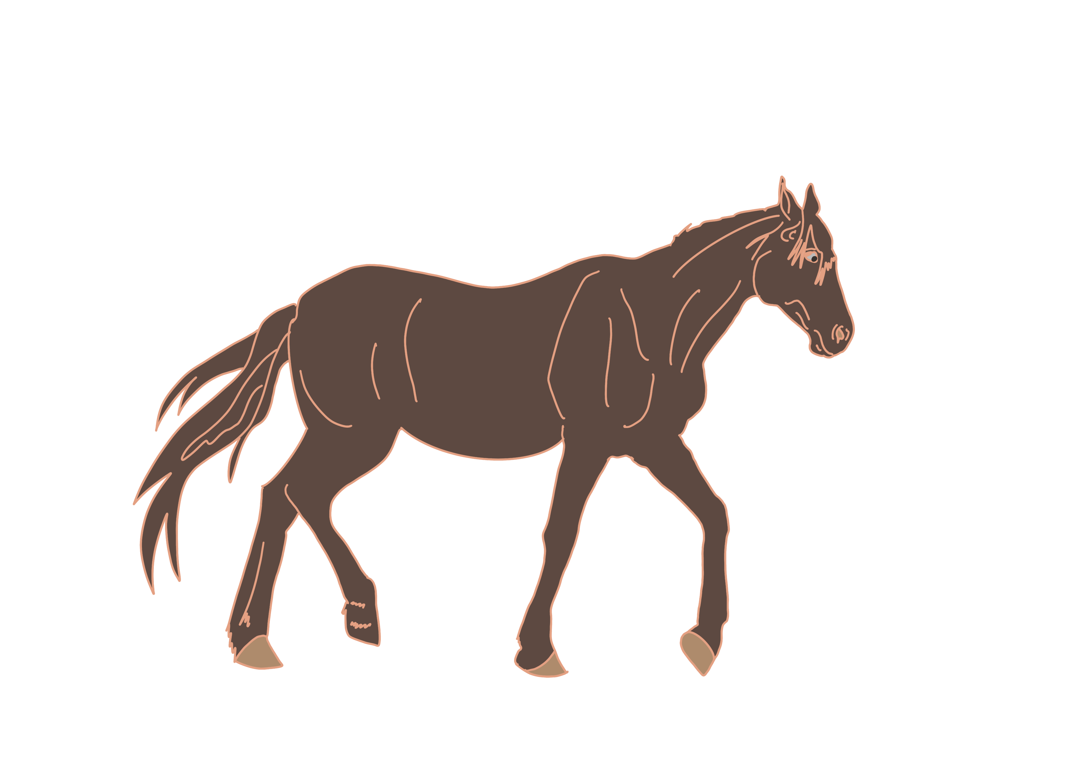 Cheval