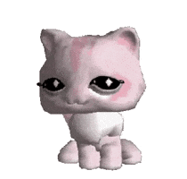 petshop qui fait coucou