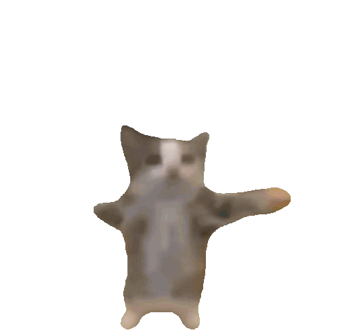 happy happy happy cat