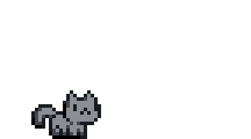 jumping cat