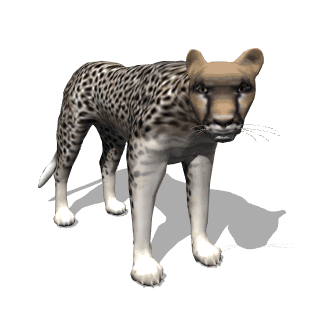 leopard en 3D