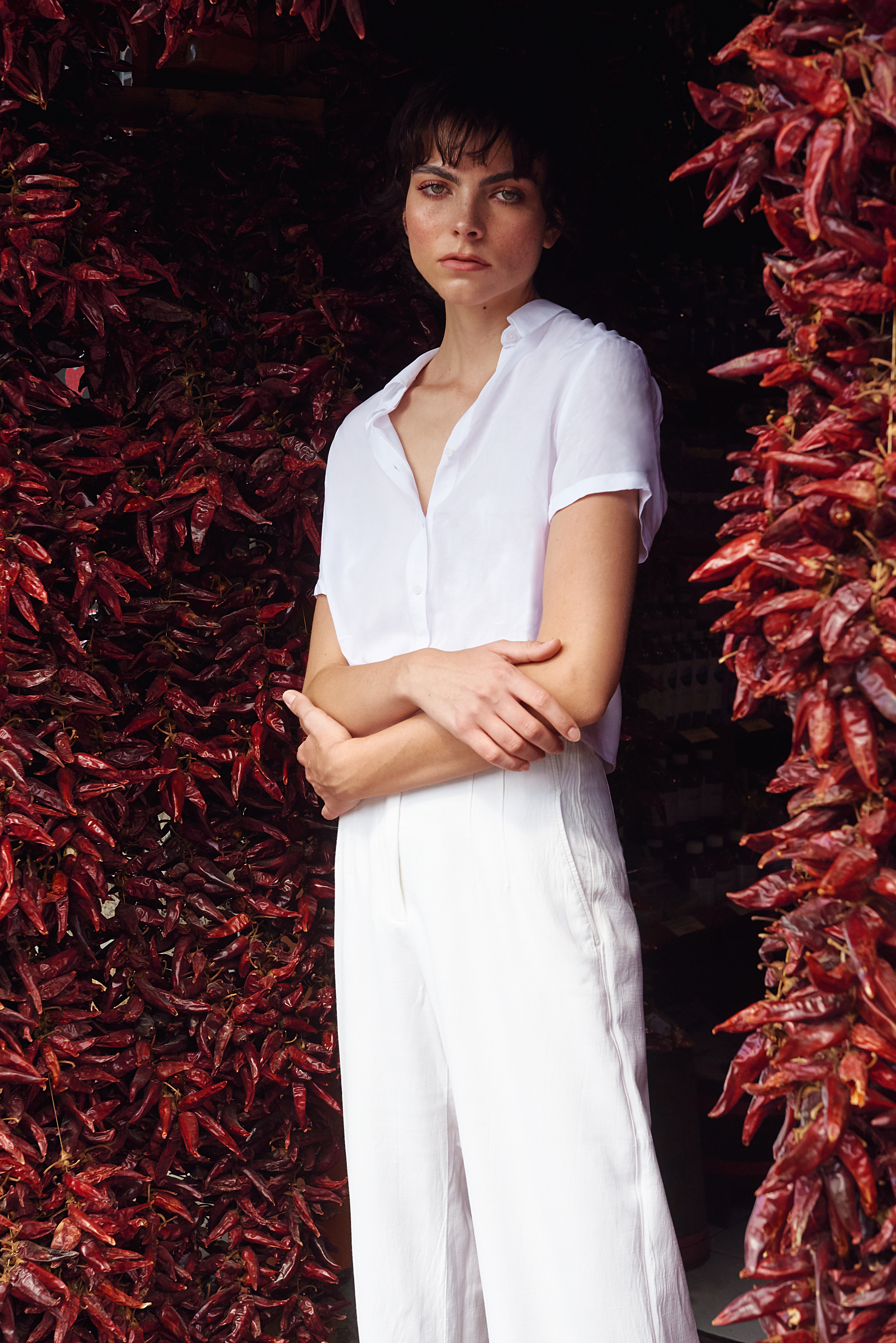 Editorial project 19