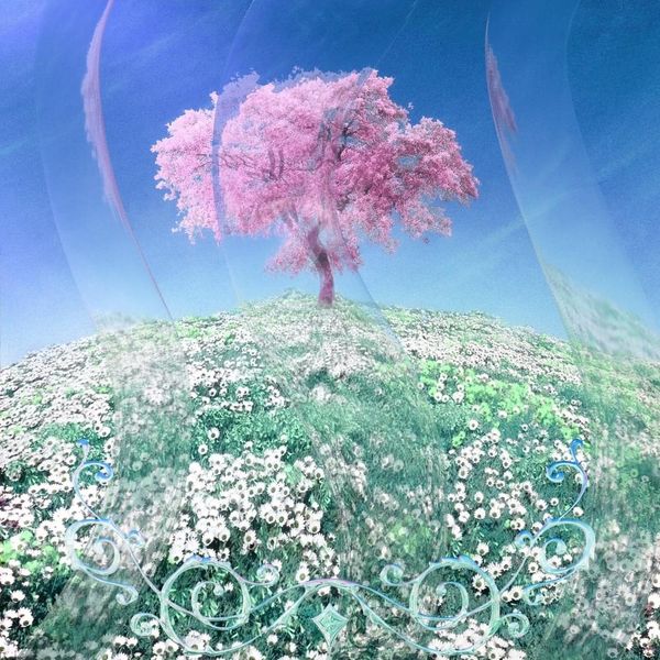 release cover